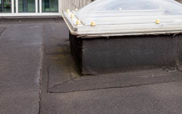disadvantages of Pave Lane flat roofs